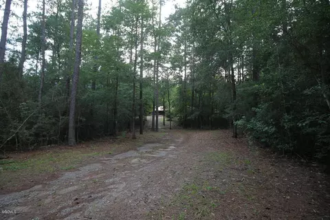 2255 Hwy 98, Lucedale, MS 39452 photo 54
