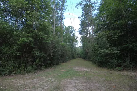 2255 Hwy 98, Lucedale, MS 39452 photo 49