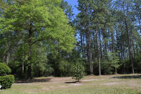 228 River Rd, Lucedale, MS 39452 photo 39