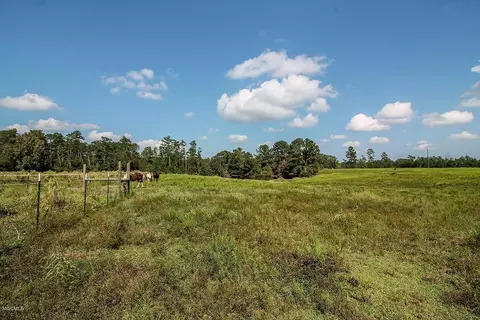 3016 Highway 15, Wiggins, MS 39577 photo 37