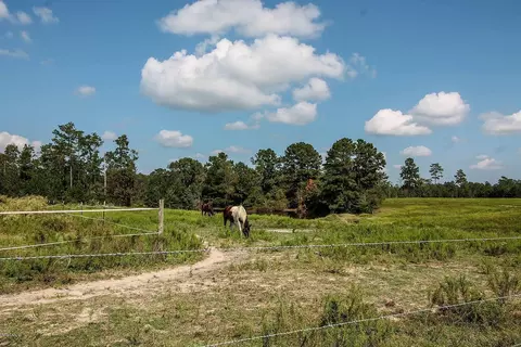 3016 Highway 15, Wiggins, MS 39577 photo 36
