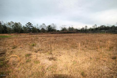 271 Grain Elevator Rd, Lucedale, MS 39452 photo 38