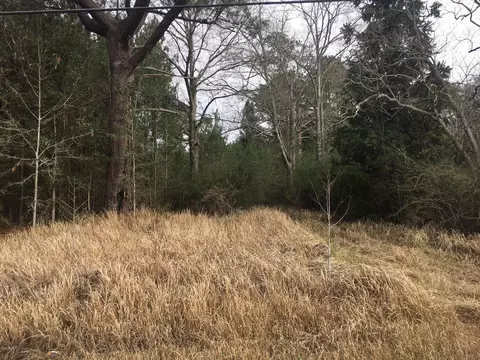 3117 Freeman Rd, Moss Point, MS 39562 photo 2