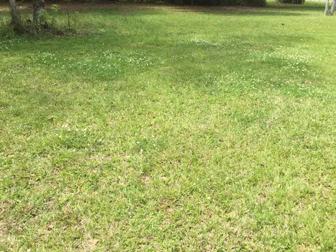 3330 Catherine St, Moss Point, MS 39563 photo 14