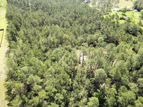 10409 Devon Rd, Vancleave, MS 39565 photo 7