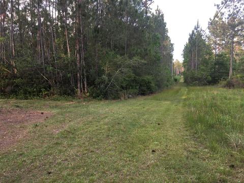 10409 Devon Rd, Vancleave, MS 39565 photo 4