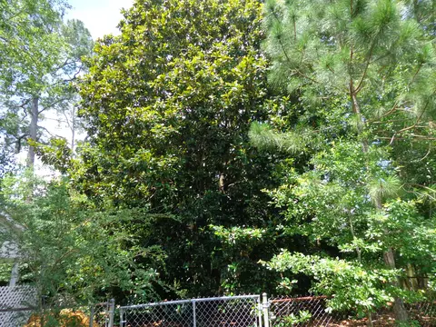 7100 Hampton Dr, Biloxi, MS 39532 photo 29