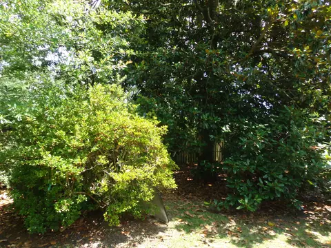 7100 Hampton Dr, Biloxi, MS 39532 photo 35