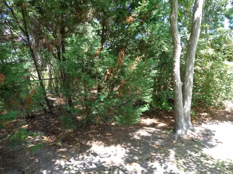 7100 Hampton Dr, Biloxi, MS 39532 photo 27