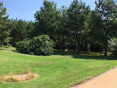 190 Tugwell Rd, Magee, MS 39111 photo 24