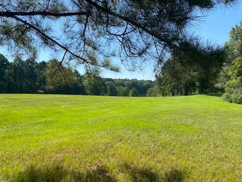 445 Mt Pilgrim Rd, Camden, MS 39045 photo 1