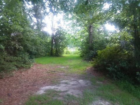 9536 Edwin Ladner Rd, Pass Christian, MS 39571 photo 6