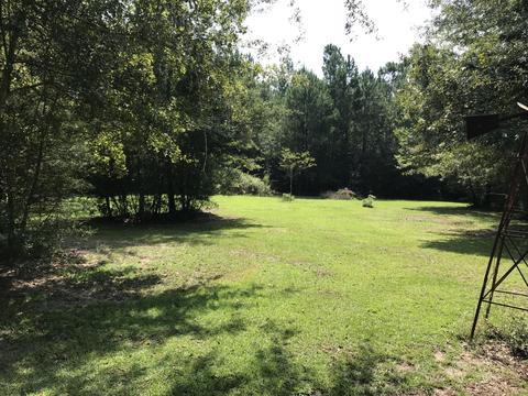 992 W Mchenry Rd, Mchenry, MS 39561 photo 36