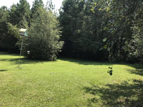 992 W Mchenry Rd, Mchenry, MS 39561 photo 41