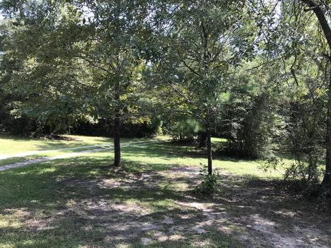992 W Mchenry Rd, Mchenry, MS 39561 photo 37