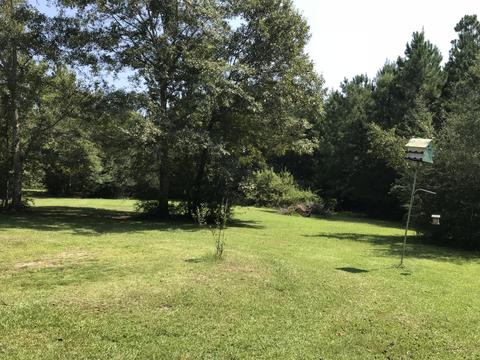 992 W Mchenry Rd, Mchenry, MS 39561 photo 42