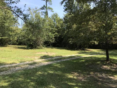 992 W Mchenry Rd, Mchenry, MS 39561 photo 38