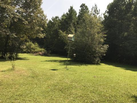 992 W Mchenry Rd, Mchenry, MS 39561 photo 40
