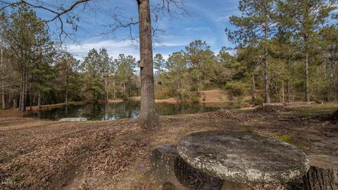 13598 Byrnes Dr, Saucier, MS 39574 photo 14
