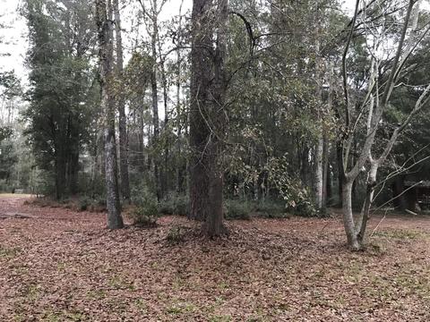 157 Megs Rd, Lucedale, MS 39452 photo 31