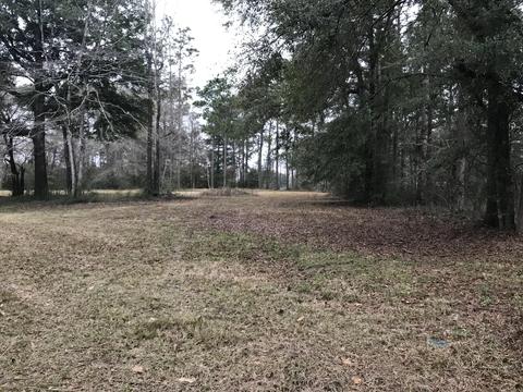 157 Megs Rd, Lucedale, MS 39452 photo 33