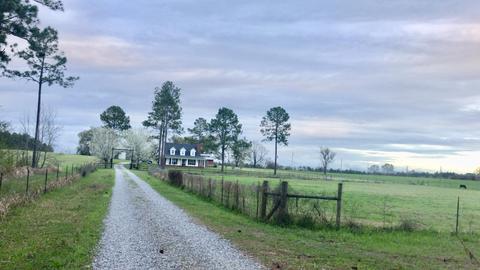 925 Dickerson Sawmill Rd, Lucedale, MS 39452 photo 1