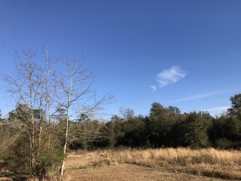 150 River Rd, Lucedale, MS 39452 photo 50