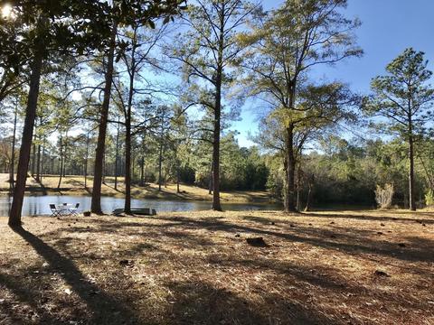 150 River Rd, Lucedale, MS 39452 photo 42