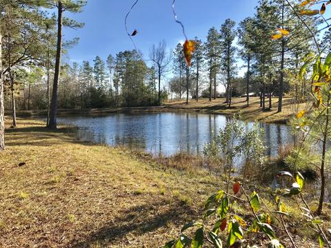 150 River Rd, Lucedale, MS 39452 photo 43
