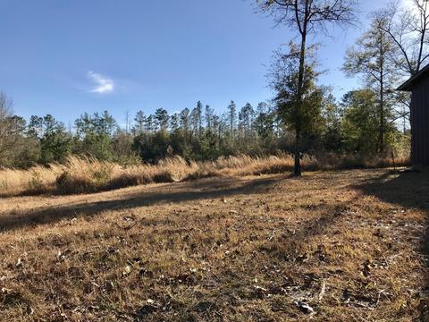 150 River Rd, Lucedale, MS 39452 photo 48