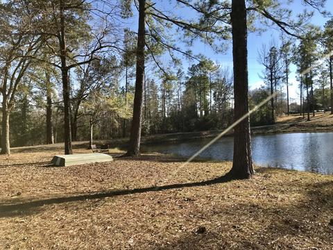 150 River Rd, Lucedale, MS 39452 photo 44