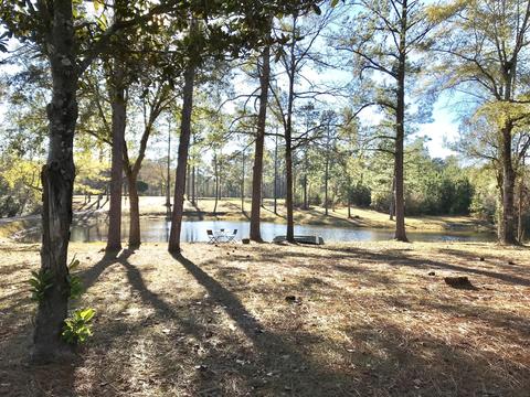 150 River Rd, Lucedale, MS 39452 photo 41