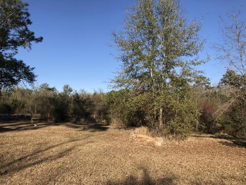 150 River Rd, Lucedale, MS 39452 photo 49