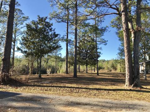 150 River Rd, Lucedale, MS 39452 photo 46