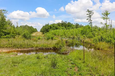 174 N Bexley Rd, Lucedale, MS 39452 photo 54