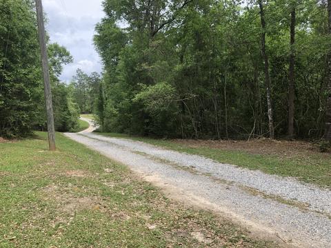 3263 Ward Pineview Rd, Lucedale, MS 39452 photo 18