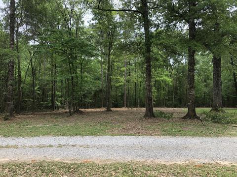 3263 Ward Pineview Rd, Lucedale, MS 39452 photo 16