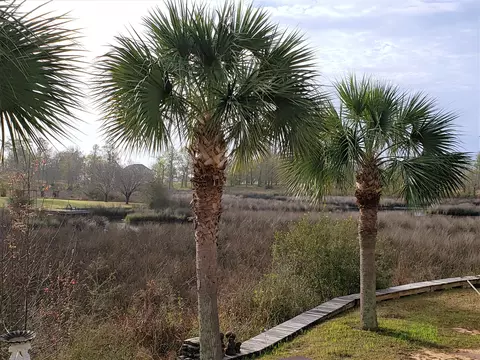 1911 Marsh Cv, Biloxi, MS 39532 photo 40