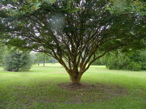 1147 Inland Beach Rd, Lucedale, MS 39452 photo 31