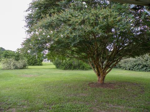 1147 Inland Beach Rd, Lucedale, MS 39452 photo 16