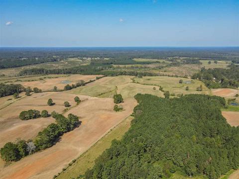 53 Scr 75, Mize, MS 39116 photo 1
