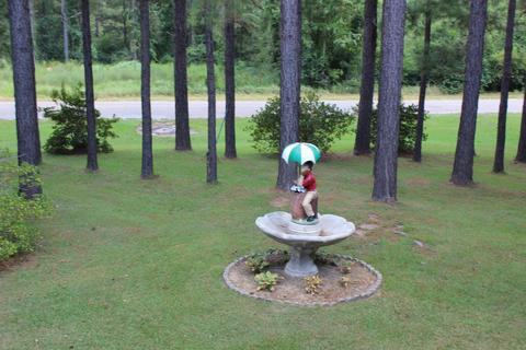 105 Red Cedar, Lucedale, MS 39452 photo 56