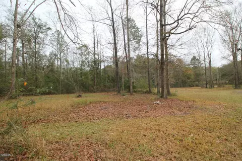 248 Grain Elevator Rd, Lucedale, MS 39452 photo 32