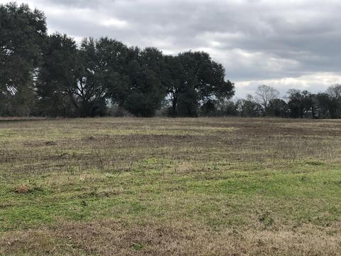 2103 Sally Parker Rd, Lucedale, MS 39452 photo 23