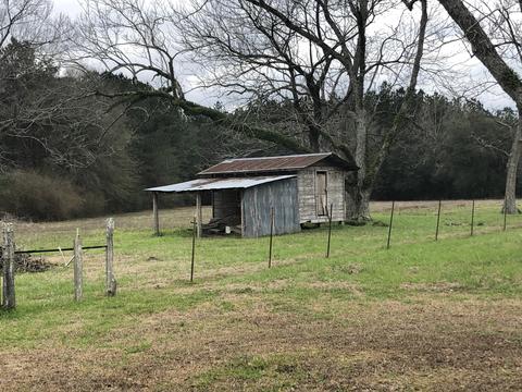 2103 Sally Parker Rd, Lucedale, MS 39452 photo 24