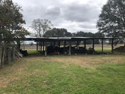 2103 Sally Parker Rd, Lucedale, MS 39452 photo 25