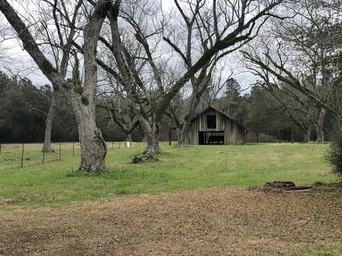 2103 Sally Parker Rd, Lucedale, MS 39452 photo 22