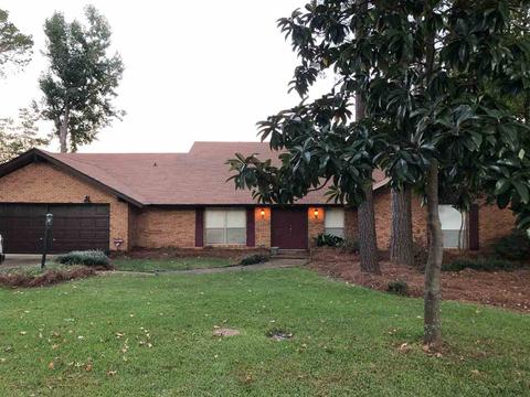 706 Forest Point Dr, Brandon, MS 39047 photo 1