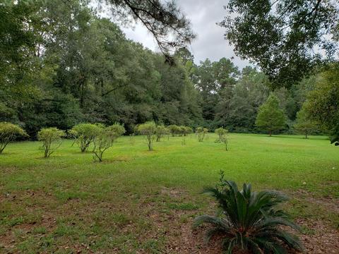 20 Marcus Mitchell Rd, Picayune, MS 39466 photo 17