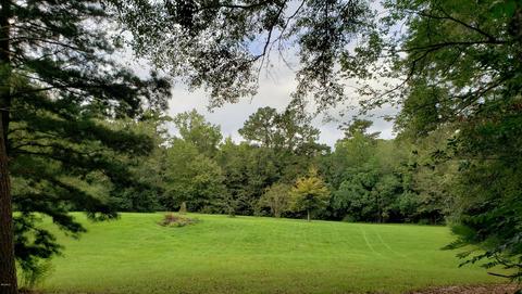 20 Marcus Mitchell Rd, Picayune, MS 39466 photo 18